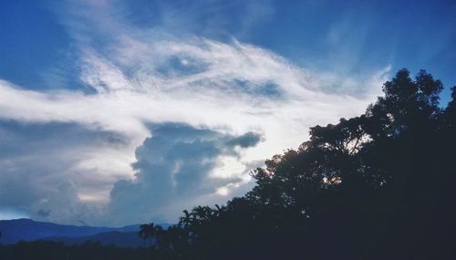 Low angle view of silhouette trees against sky