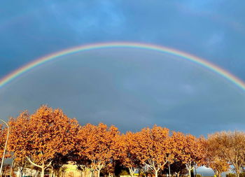 rainbow