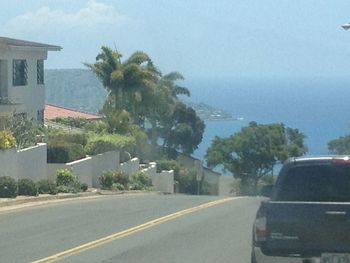 Road with trees in background