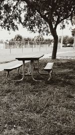 Empty bench in park