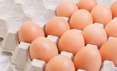 Close-up of eggs in carton on table