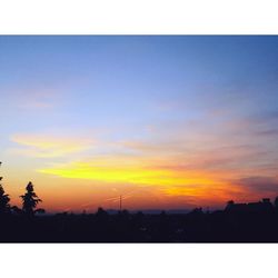 Silhouette of trees at sunset