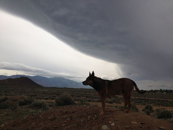 Scenic view of landscape against cloudy sky