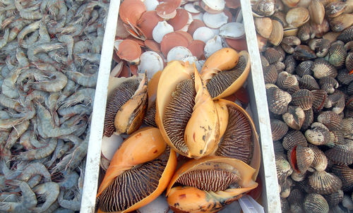 High angle view of food