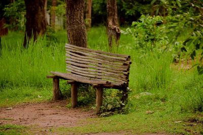 Empty bench in park