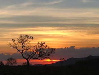 Silhouette tree on mountain against sky during sunset