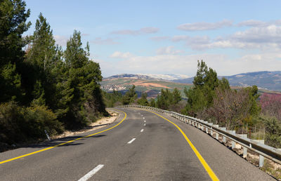 Road by trees against sky