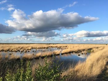 Scenic view of land against sky