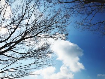 Low angle view of bare tree against sky