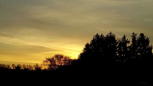 Silhouette trees against sky during sunset