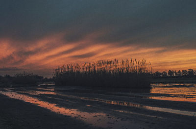 Scenic view of beach against dramatic sky