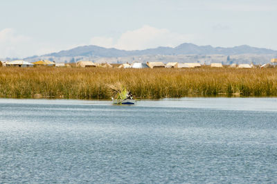 Scenic view of lake by field against sky