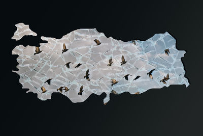 Close-up of paper against black background