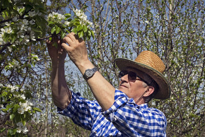 Man wearing hat picking flowers from tree