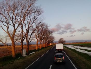 Road passing through trees