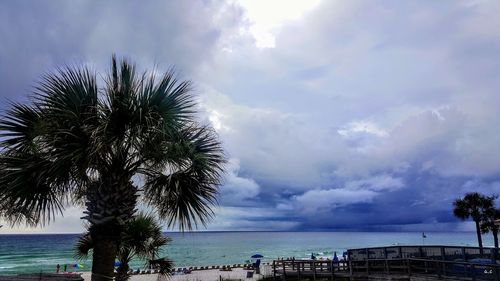 Palm tree by sea against sky