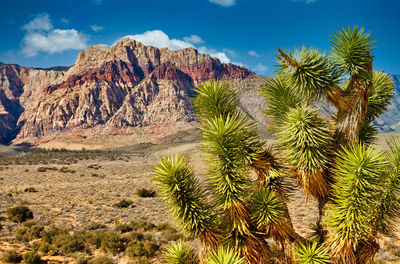 Scenic view of rocky mountains against sky