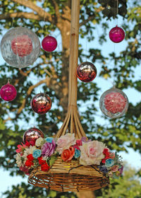 Close-up of christmas decorations hanging on tree