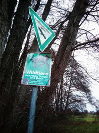 Low angle view of road sign on tree trunk