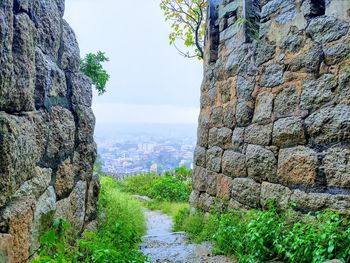 Scenic view of wall and trees against sky