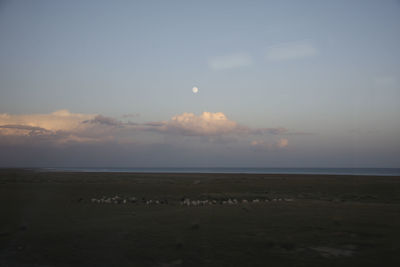 Scenic view of landscape against sky during sunset