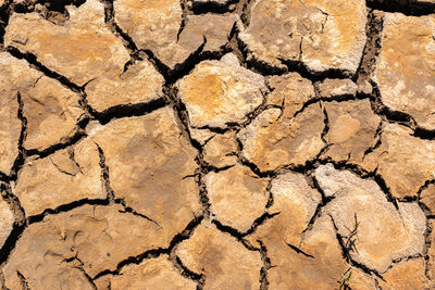 climate