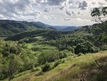 Scenic view of landscape against sky