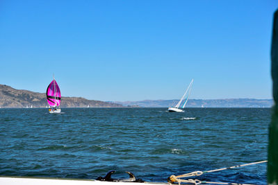 Sailboat sailing in sea against clear sky