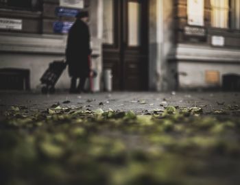 Surface level of woman walking on road