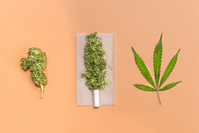 Rolling a cannabis joint: marijuana bud, leaf and joint ready to roll.
