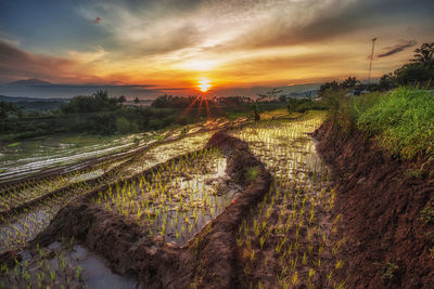 Scenic view of field against sky during sunset