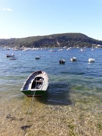 Sailboats moored on sea against clear sky