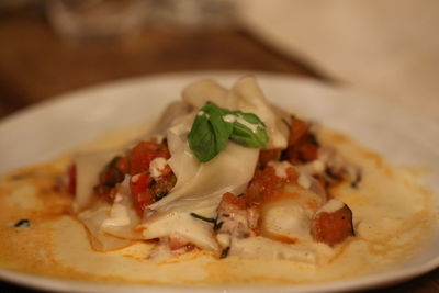 Close-up of meal served in plate