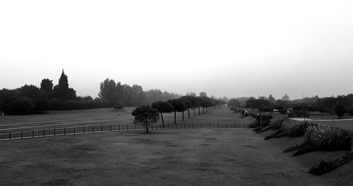 Empty footpath amidst trees against clear sky