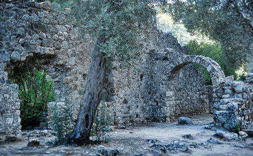 View of old ruin in forest