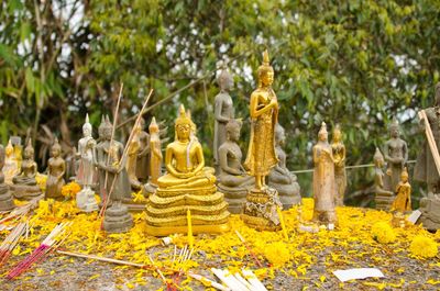 Buddha statue in temple