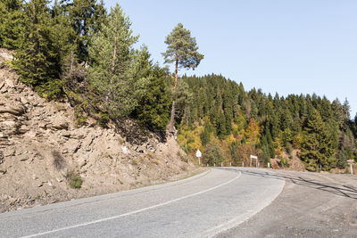 Road by trees against sky