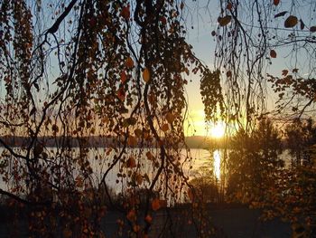 Silhouette trees by lake against sky during sunset