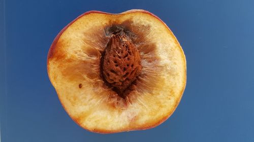 Close-up of apple against blue background