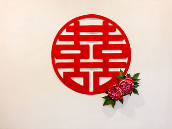 Close-up of red flower against white background