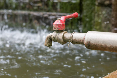 Close-up of red water