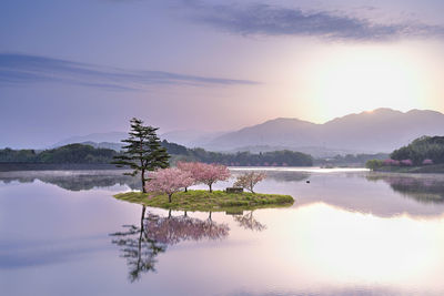 Scenic view of lake against sky