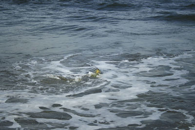 View of waves in sea