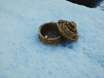 High angle view of shell on snow
