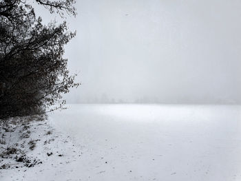 winter