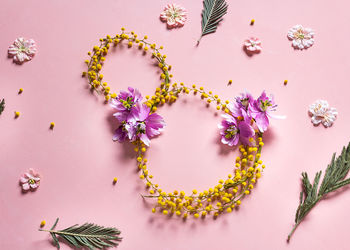 High angle view of pink flowering plant on table