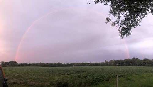 Scenic view of field against rainbow in sky