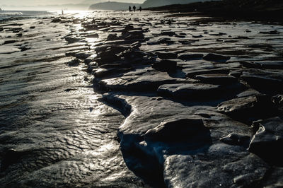 Scenic view of beach