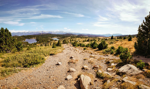 Scenic view of landscape against sky