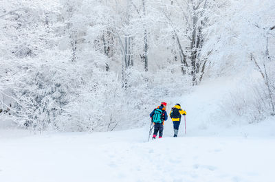 Rear view of people standing on snow covered mountain